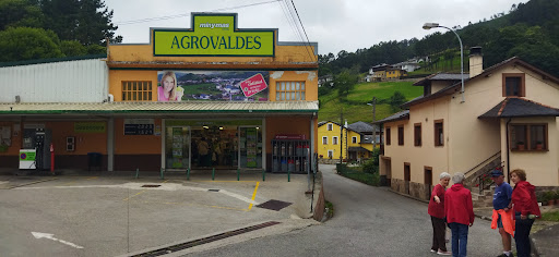 Agrovaldés ubicada en Trevías (Asturias)