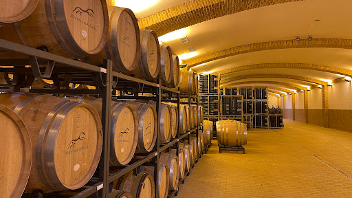 Bodega Huerta de Albala ubicada en Arcos de la Frontera (Cádiz)