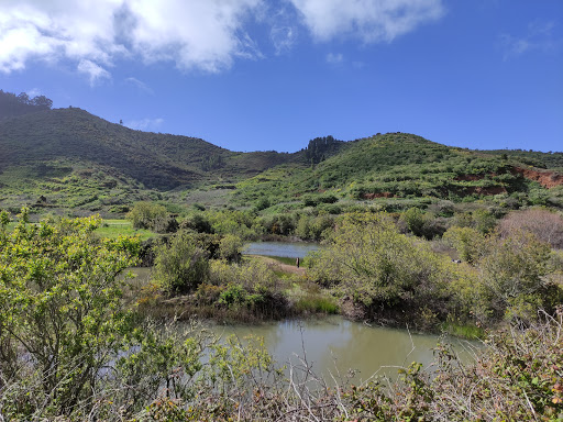 Sendero Las Charcas De Erjos ubicada en Erjos (Santa Cruz de Tenerife)