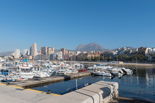 Hotel Rocamar Benidorm ubicada en Benidorm (Alicante)