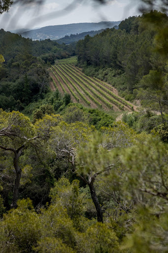 Parés Baltà Winery ubicada en Pacs del Penedès (Barcelona)