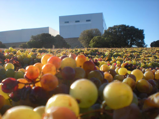 Bodega Finca Antigua ubicada en Los Hinojosos (Cuenca)