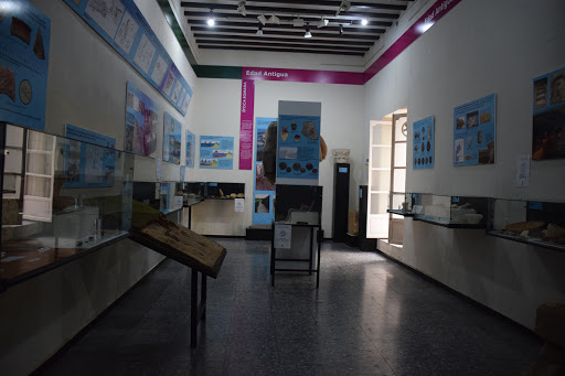 Museo Arqueológico Municipal de El Puerto de Santa María ubicada en El Puerto de Santa María (Cádiz)