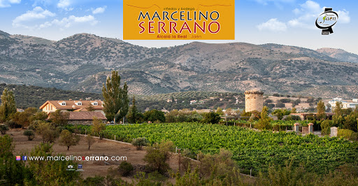 BODEGA: Viñedos y Bodega Marcelino Serrano ubicada en Alcalá la Real (Jaén)