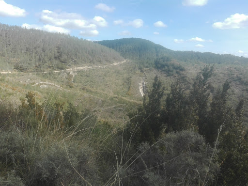 La Abadía de Alzuza ubicada en Alzuza (Navarra)