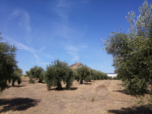 Sabores De La Dehesa ubicada en Burguillos del Cerro (Badajoz)