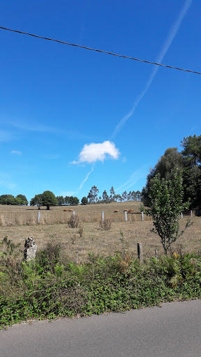 Carnes do Baladoiro ubicada en Agolada (Pontevedra)