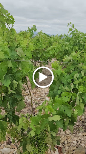 Bodega Muro ubicada en Lapuebla de Labarca (Álava)