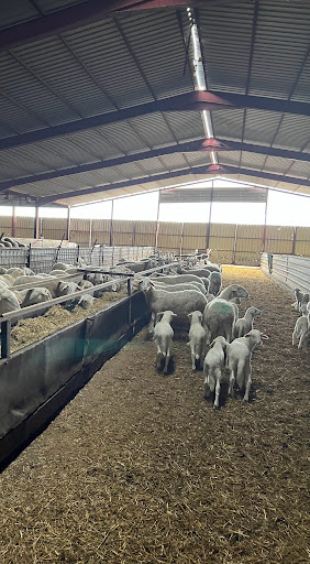 Quesería Pérez Arquero ubicada en Tembleque (Toledo)