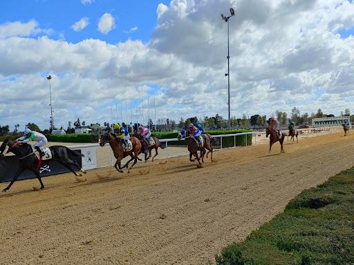 Hipódromo de Pineda ubicada en Seville (Sevilla)