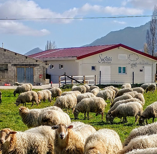 Sustrai gaztategia - quesería ubicada en Uharte-Arakil (Navarra)