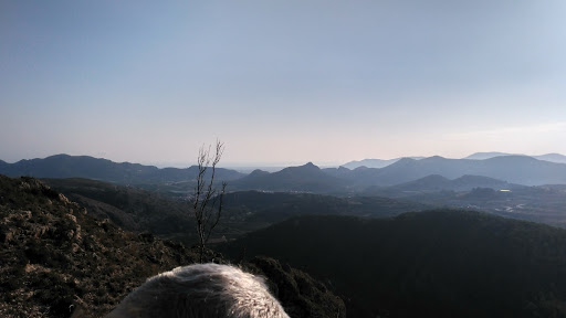 Forn Montagud ubicada en Llocnou de Sant Jeroni (Valencia)