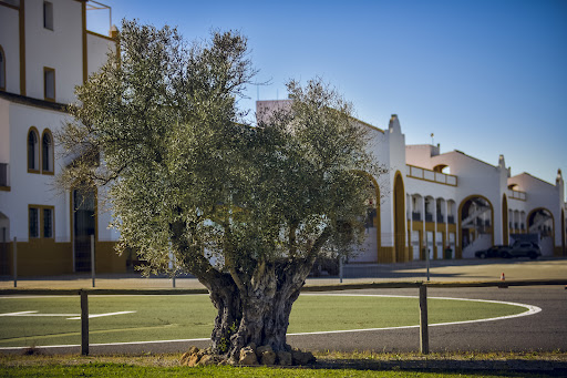 Circuito Monteblanco ubicada en La Palma del Condado (Huelva)