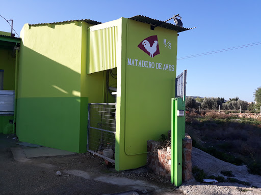 Aves Aspe ubicada en Aspe (Alicante)