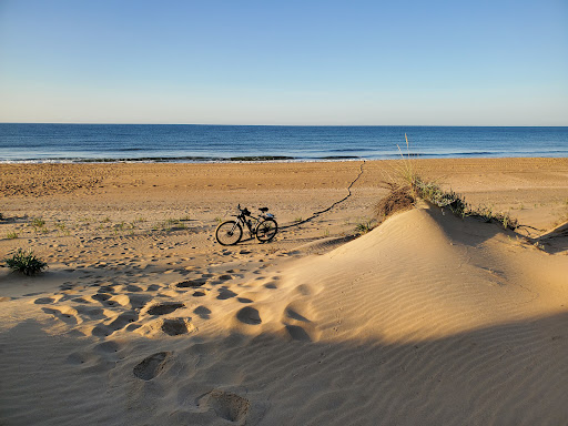 Playa canina de Nueva Umbría ubicada en Lepe (Huelva)