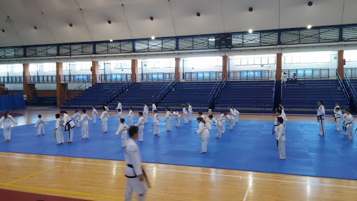 Sports Centre San Pedro ubicada en San Pedro de Alcántara (Málaga)