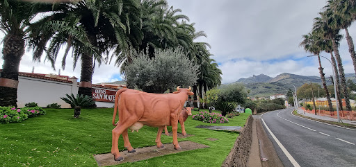 Quesos San Mateo ubicada en Vega de San Mateo (Las Palmas)