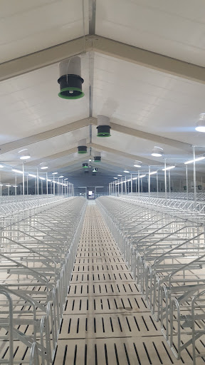 New Farms | Soluciones integrales en avicultura y porcino ubicada en Llardecans (Lleida)