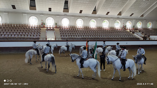 Royal Andalusian School of Equestrian Art ubicada en Jerez de la Frontera (Cádiz)