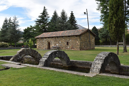 Fontes Tamarici ubicada en Velilla del Río Carrión (Palencia)