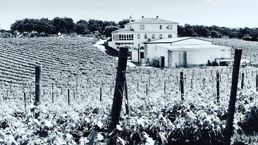 Bodega Doña Felisa - Vinos de Ronda ubicada en Ronda (Málaga)