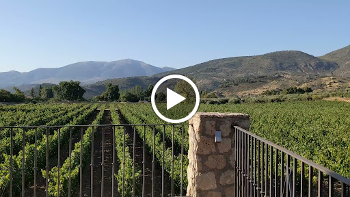 Caseria Los Alfarjes Viñedos Y Bodega ubicada en Cambil (Jaén)