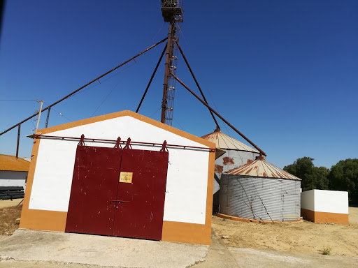 Finca Jandilla ubicada en Libreros (Cádiz)