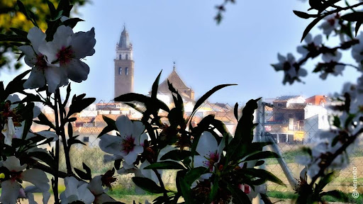 Parroquia Santa Maria De La Oliva De Salteras ubicada en Salteras (Sevilla)