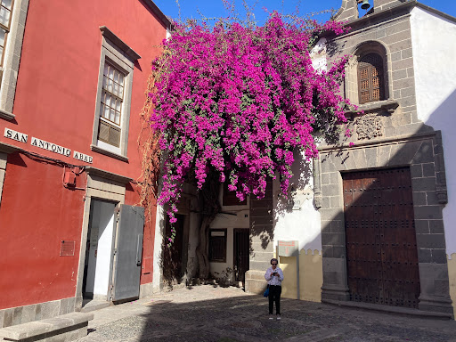 Archivo Casa De Colón ubicada en Palmas De Gran Canaria ( Las ) (Las Palmas)