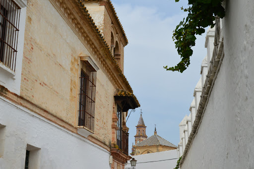 Casa palacio del marqués de San Martín ubicada en Carmona (Sevilla)