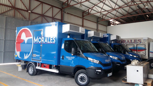 Morales Alimentación Cieza. Frigoríficos Morales ubicada en Cieza (Murcia)