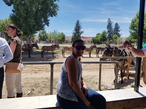 Super ROCIO ubicada en El Rocío (Huelva)