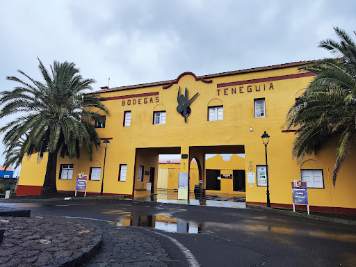 Llanovid S. C. L. Bodegas Teneguía ubicada en Los Canarios (Santa Cruz de Tenerife)