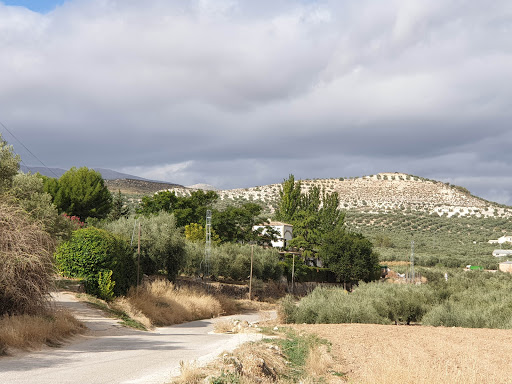 Santa Ana de Salar Soc. Coop. Andaluza ubicada en Salar (Granada)