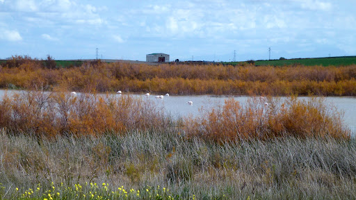 Laguna La Juncosa ubicada en Aldea Rural Pago Barranco (Cádiz)