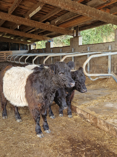 Errotik Etxanoko gaztaie ubicada en Etxano (Vizcaya)