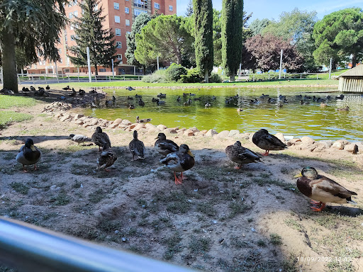 Félix Rodríguez de la Fuente Park ubicada en Burgos (Burgos)