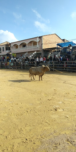 Carmen Blanco Sánchez ubicada en Arroyo del Ojanco (Jaén)