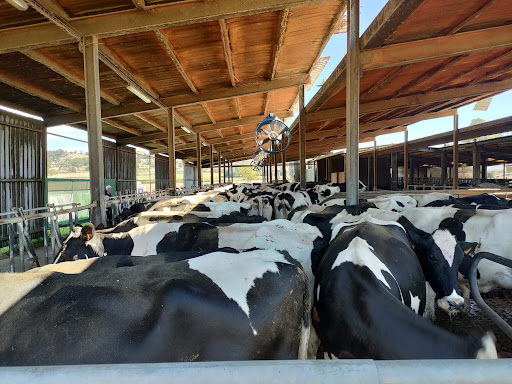 Granja Comas ubicada en Santa Eugènia de Berga (Barcelona)