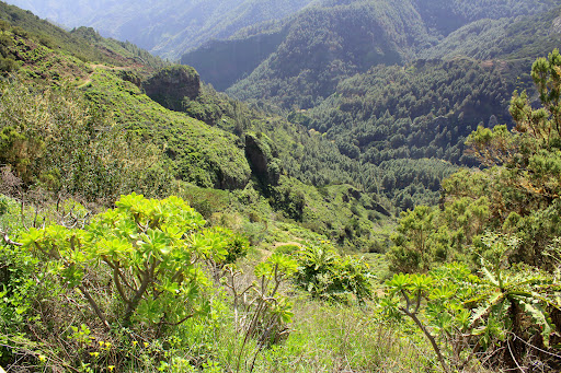 Mirador de Tajaqué ubicada en San Sebastián de La Gomera (Santa Cruz de Tenerife)