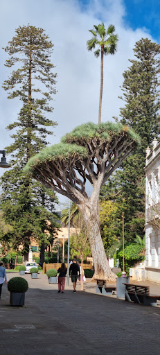 Charcutería carnicería manolo ubicada en San Cristóbal de La Laguna (Santa Cruz de Tenerife)