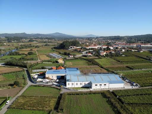 CONSERVAS DE CAMBADOS S.L. ubicada en O Porto (Pontevedra)