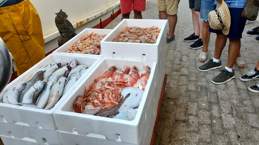 Lonja de Garrucha ubicada en Garrucha (Almería)