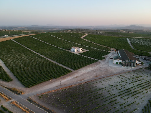 Bodegas EL MONTE ubicada en Moriles (Córdoba)