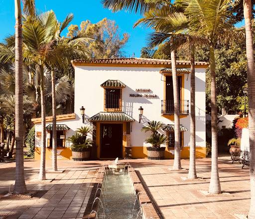 Molino de Inca Botanical Garden ubicada en Torremolinos (Málaga)