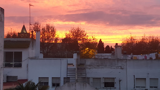 Bodeguita San Jerónimo ubicada en Seville (Sevilla)