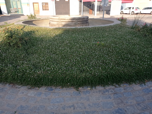 Supermercados Mi Súper ubicada en Belalcázar (Córdoba)