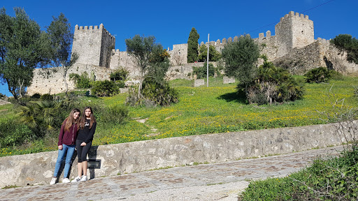 Castillo de Castellar de la Frontera ubicada en Castillo de Castellar (Cádiz)