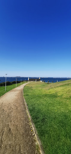 Castiñeiras ubicada en Ribeira (A Coruña)