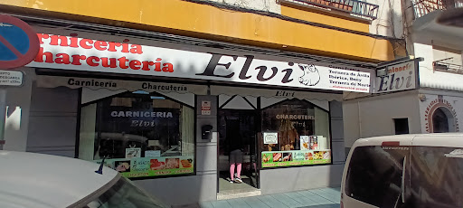 Elvi ubicada en Torre del Mar (Málaga)